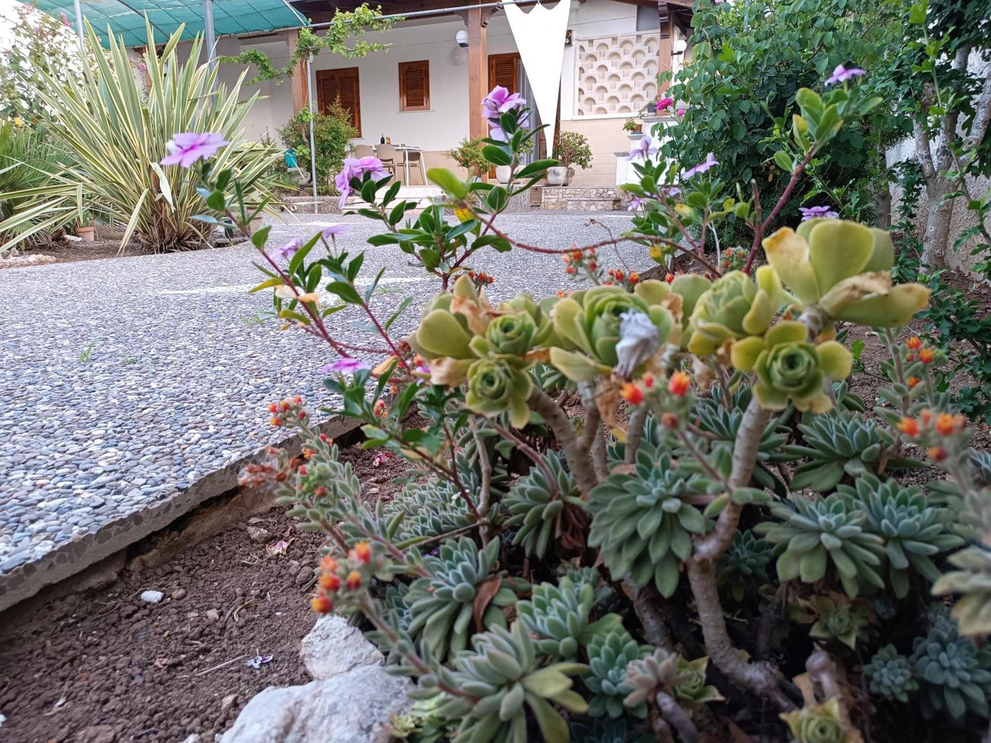 Il Giardino Di Sofia Charm And Comfort Apartment Torre dell'Orso Eksteriør bilde